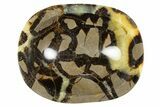 Eye-Eatching, Polished Septarian Bowl - Madagascar #342688-1
